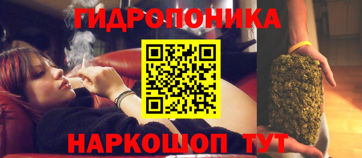 Бошки Шишки семена  Канабис MAZAR  Кунгур  Вход с VPN 